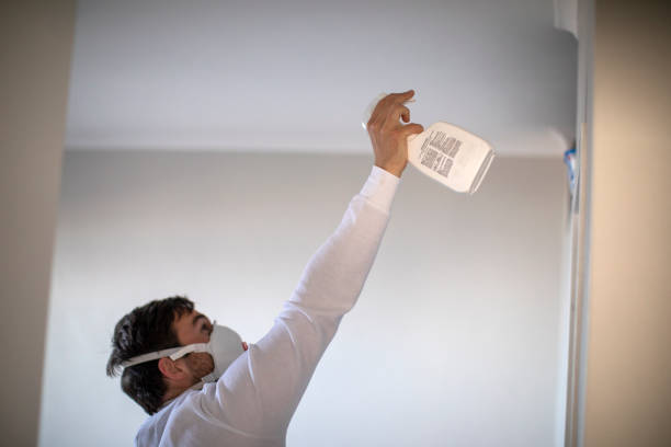 Best Mold Removal Near Me  in Lindenhurst, IL