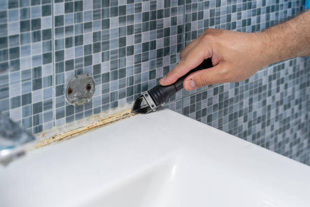 Best Mold Testing  in Lindenhurst, IL